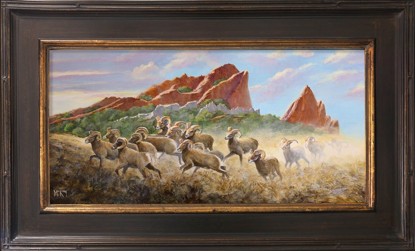 Click to view detail for Bighorn Stampede 12x24 $1900